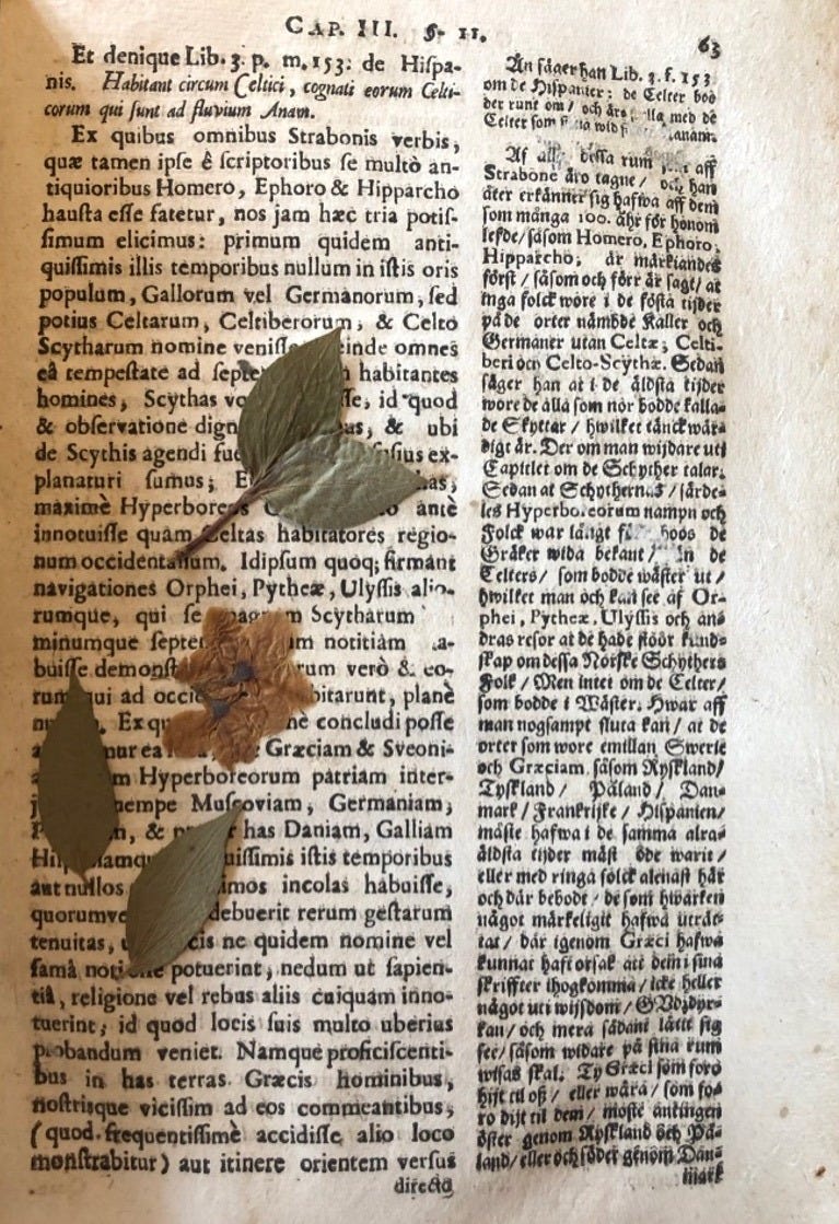 Open page in an ancient book with pressed plants