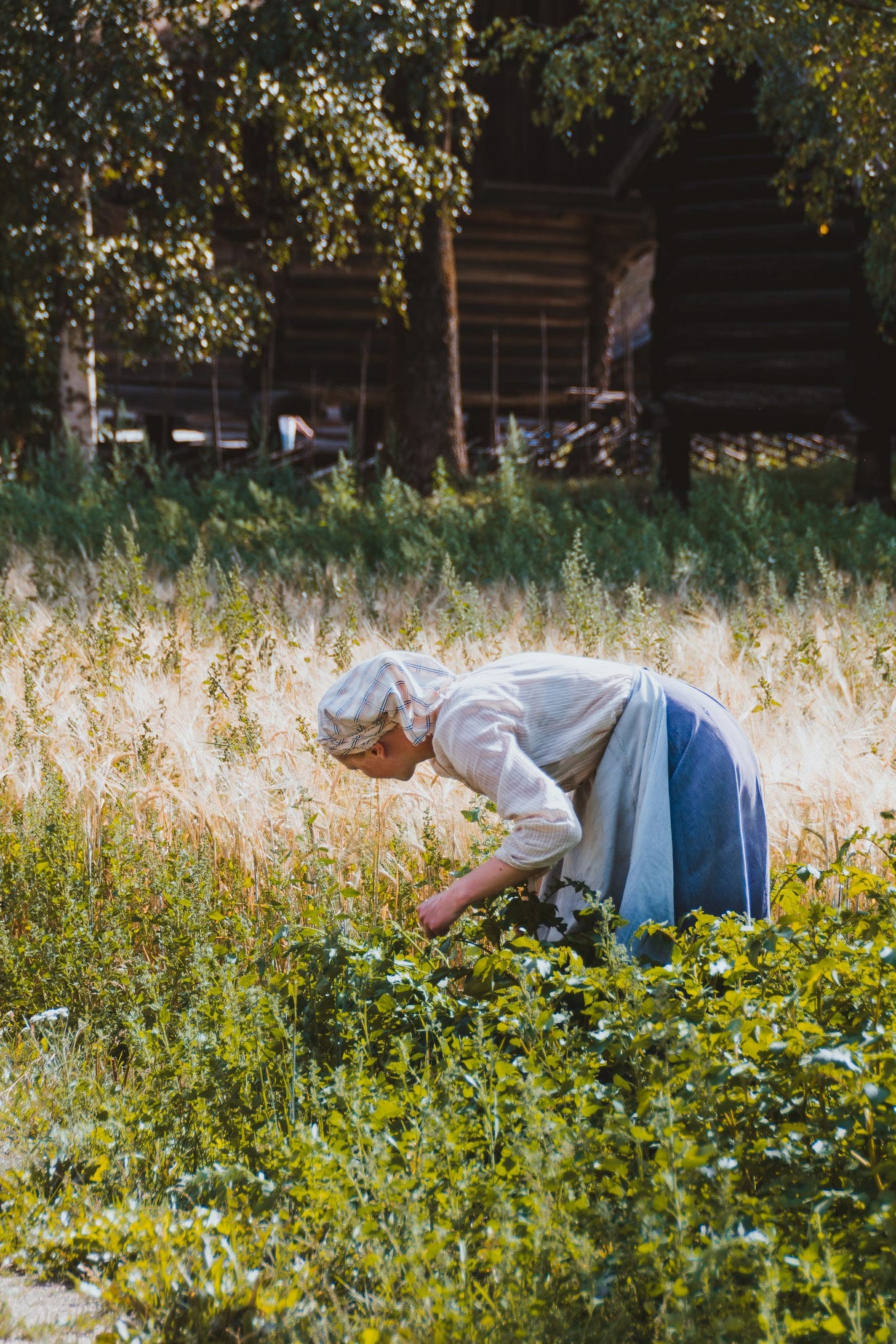 Photo of woman in garden by Enric Cruz López from Pexels