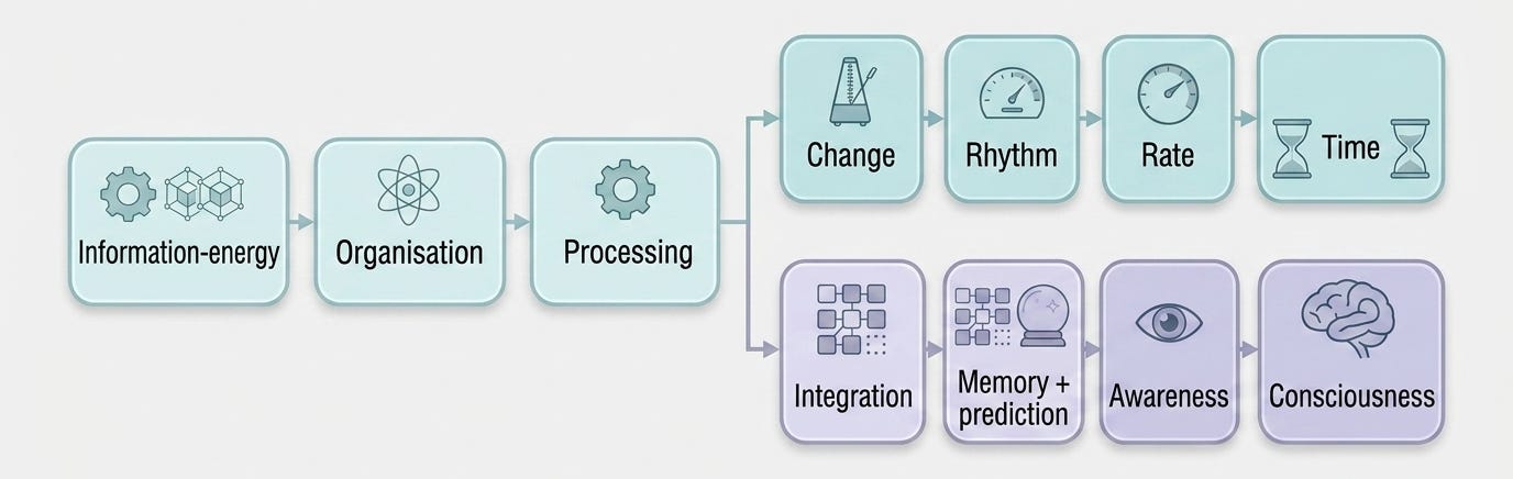 Technical textbook-style diagram showing two parallel pathways. The left pathway shows Energy Source (Information-Energy) → Structure (Organisation) → Processing → Continuous Change & Development → Rhythm and Rate → Time (Temporal Framework). The right pathway shows Sensory Input (Information-Energy) → Structure (Organisation) → Preprocessing → Integration → Memory + Prediction, branching into Past Model (Prediction) and Attention (Awareness), which converge into Unified Consciousness, described as a unified subjective experience formed from integrated sensory, historical, and attentional inputs.