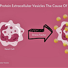 A Hypothesis: Extracellular Vesicles Containing Spike Protein Cause Heart Disease