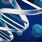 ICAN: CDC Spends Your Money Culturing, Producing and Selling Cell Lines from Human Fetus Body Parts