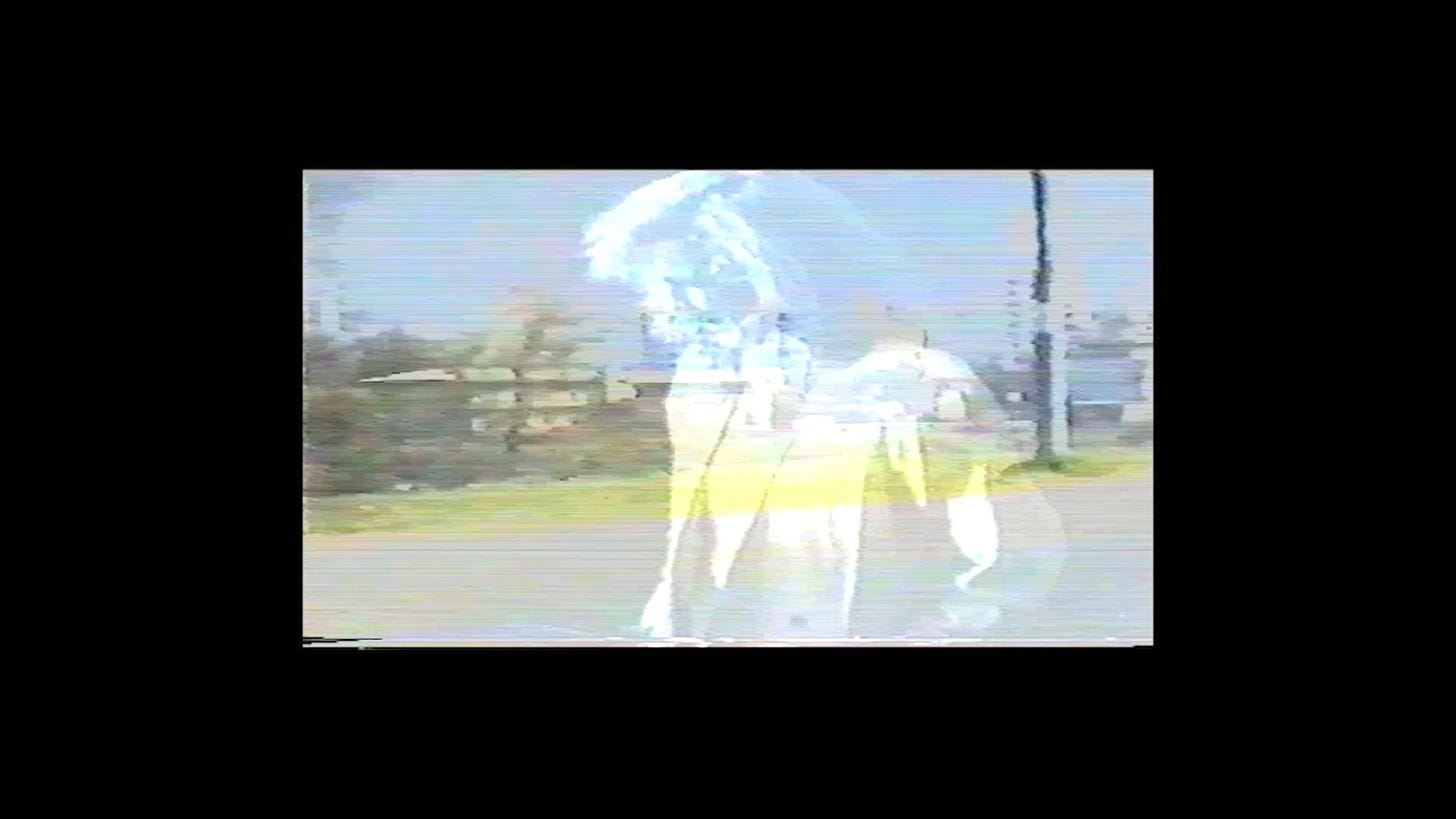 silence of reason film