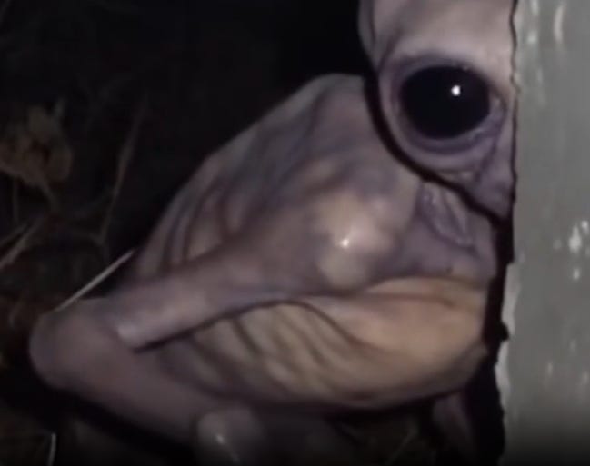 The UFO REALITY No One Wants You to Recognize. Verified UFO/UAP Chronicles. Pt.4