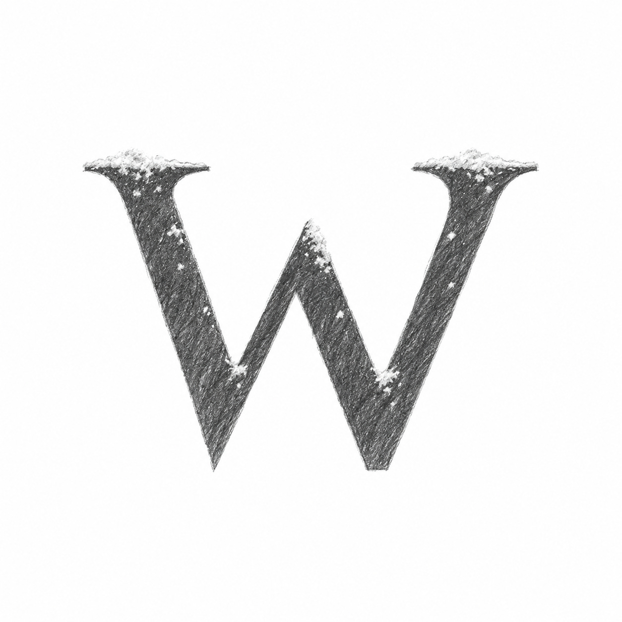 Whiteout Capital logo