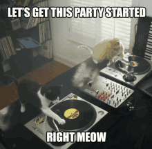 a cat playing a record with the words let 's get this party started right meow on the bottom a cat playing a record with the words let 's get this party started right meow on the bottom