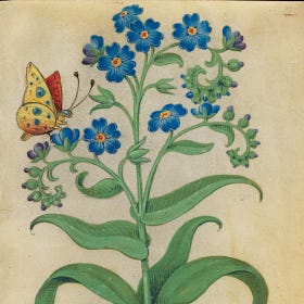 50 Things you can do for Trans Rights