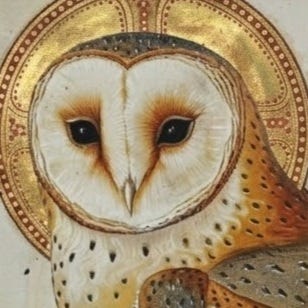 Dischetti