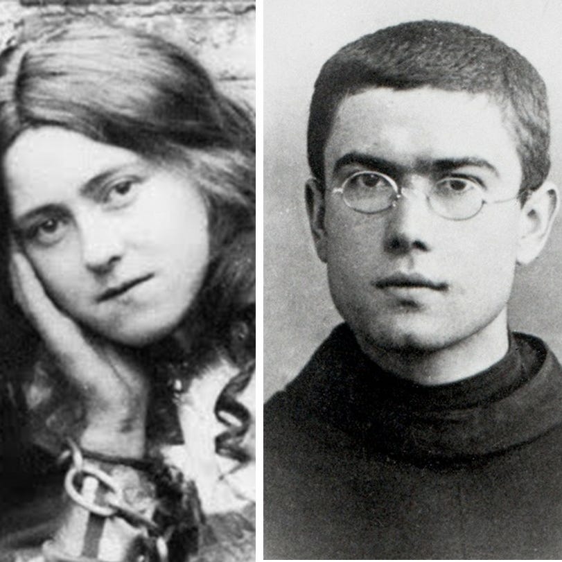 Max and Tracy's Newsletter