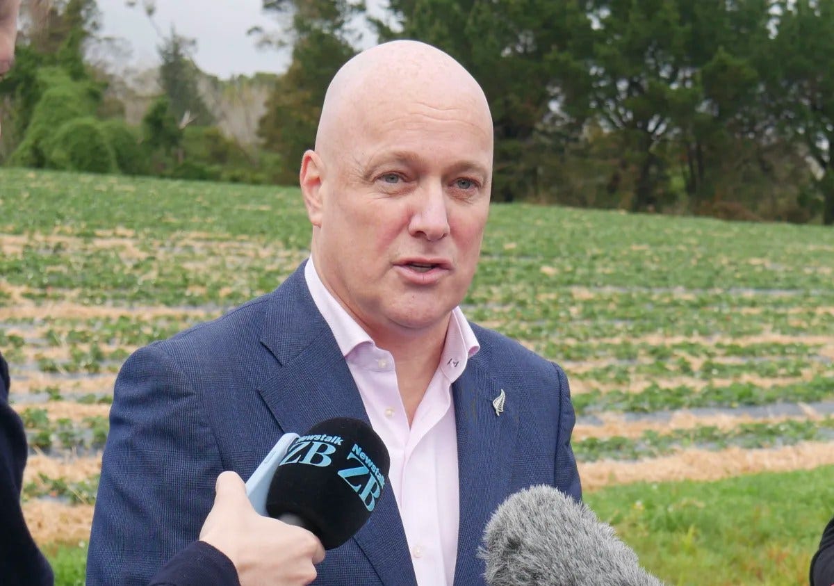 Luxon's red light for beneficiaries Luxon's red light for beneficiaries