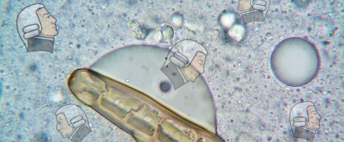 A microorganism with superimposed stylized Adam Smit profiles A microorganism with superimposed stylized Adam Smit profiles