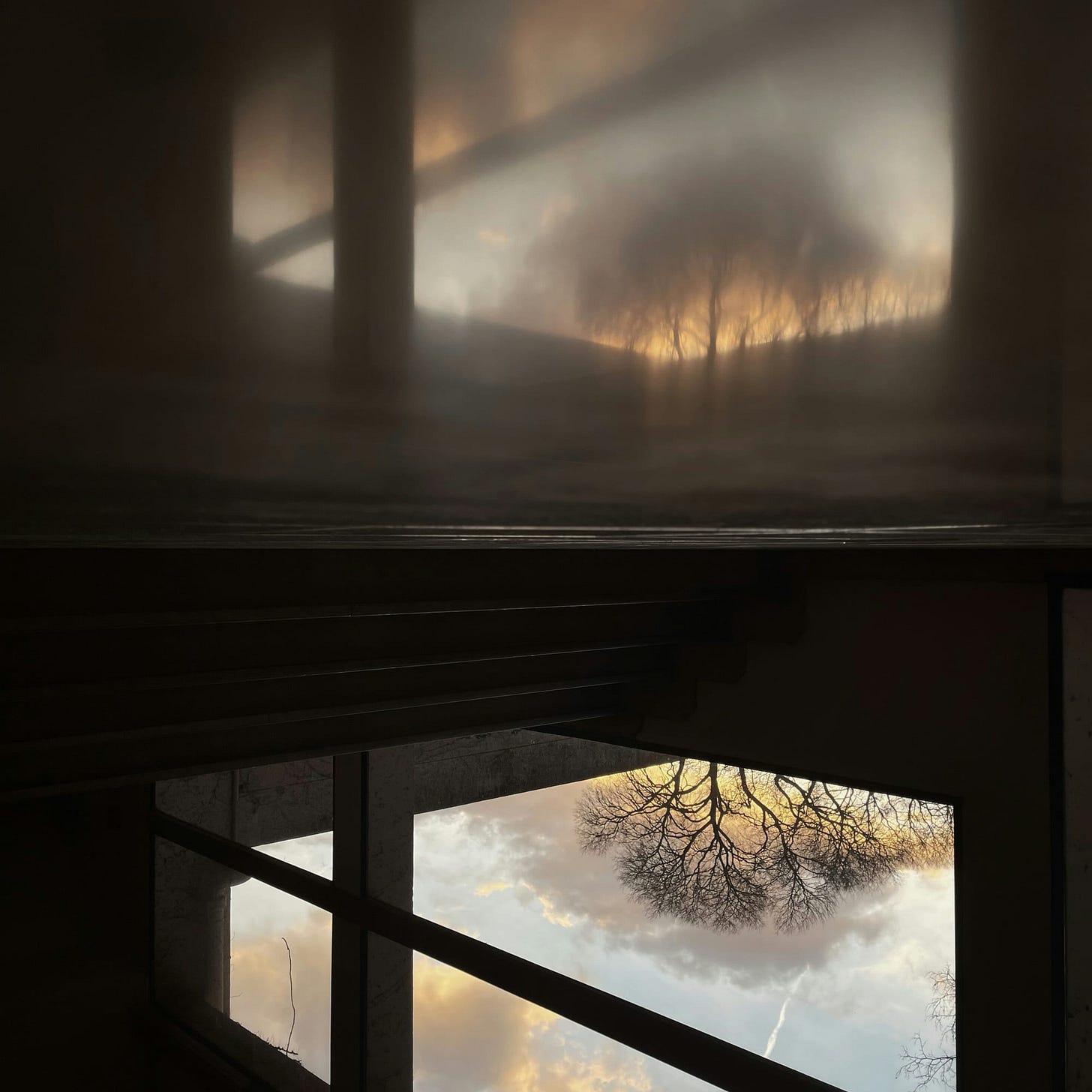Reflection of trees in window light through a stairwell