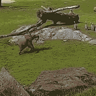 Cat In The Cradle! Tabs, Wed., May 22, 2024