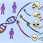 Anthropology.net