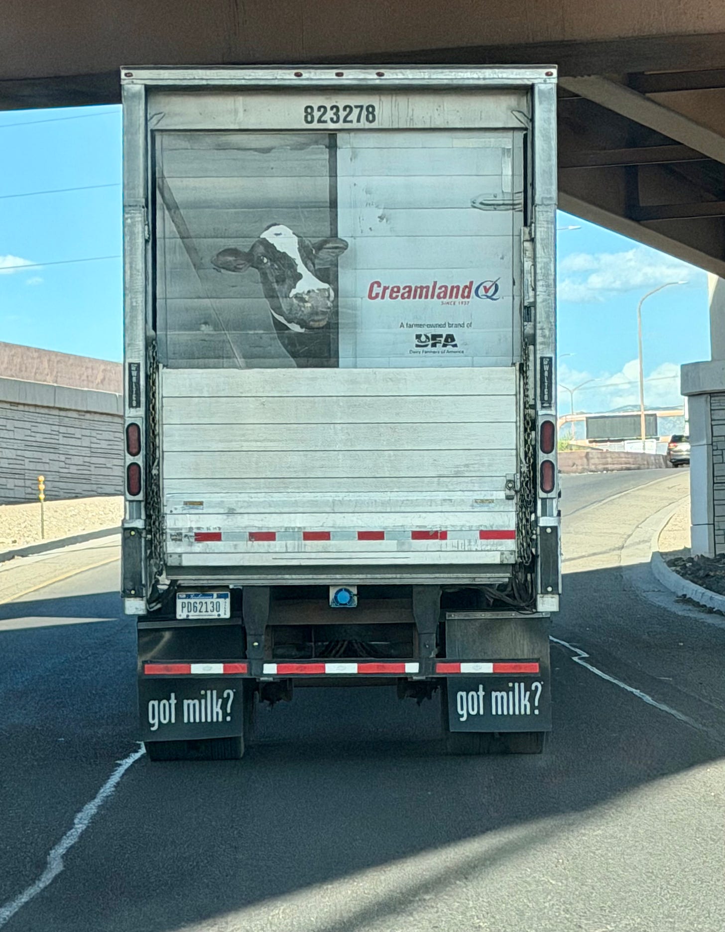 Design on the back of a semi truck showing a cow appearing to be peering out of the truck with the word CREAMLAND (lol) next to them
