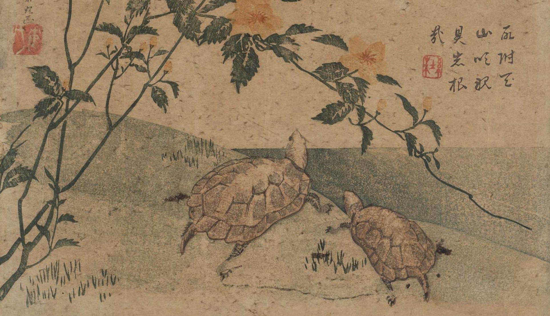 Turtles in Japanese Folklore and Culture