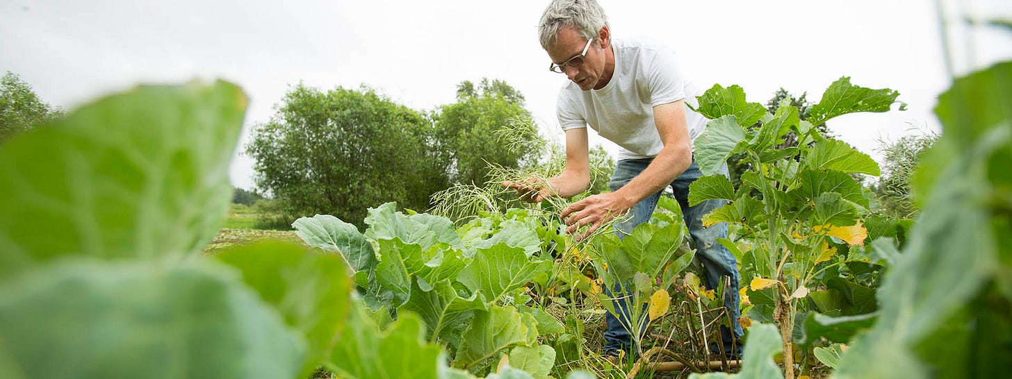 FarmBeats farmer checking crops in Carnation, WA