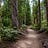 Eight Trails