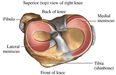 Meniscus Tears Center - Atlanta Bone and Joint Specialists