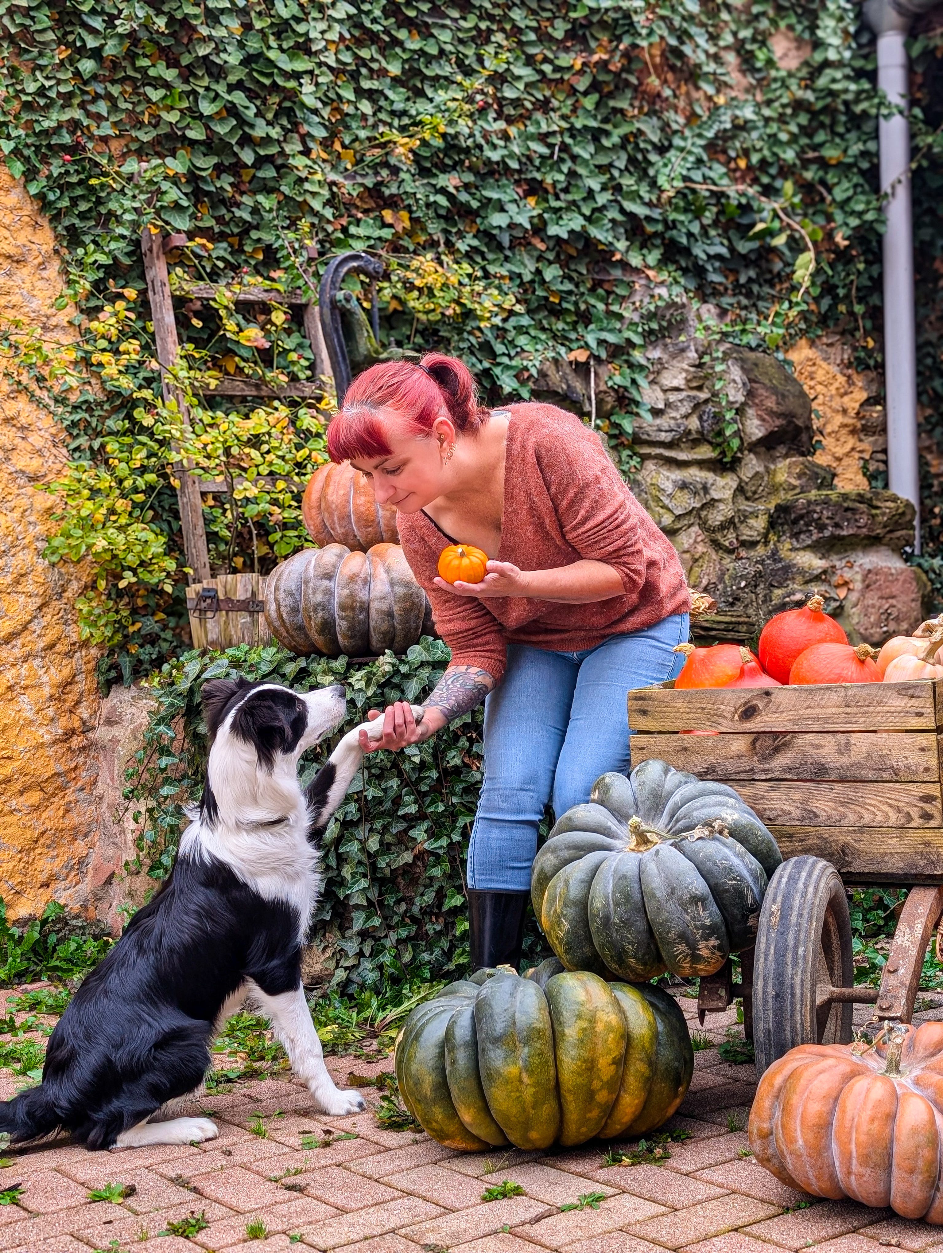 Bienvenue en octobre : place aux courges & aux sorts !