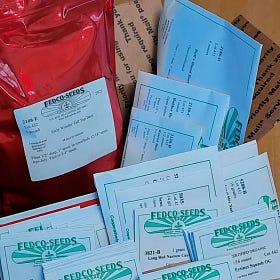 Right Seed, Right Time: How to Choose Seeds That Work for YOU