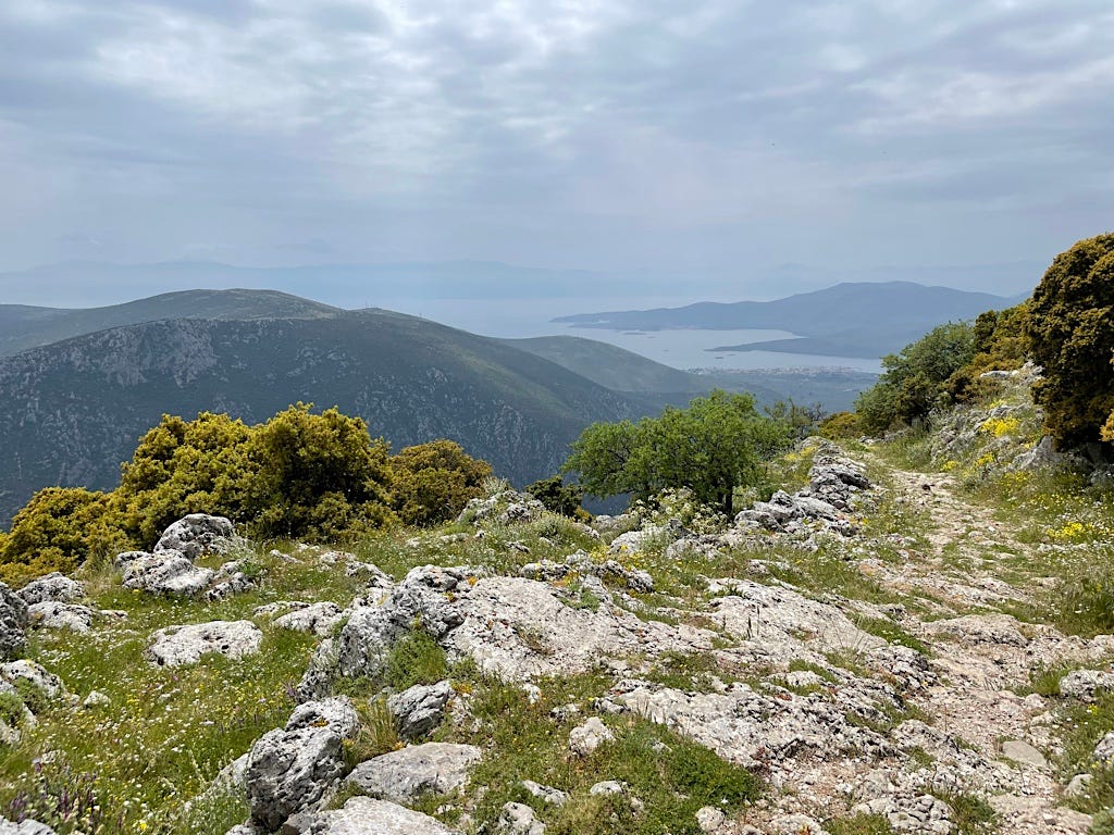 And then we emerged on the cliffs above Delphi. You can see the Gulf of Corinth and the Peloponessus beyond.
