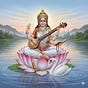Sarasvati Songs's avatar