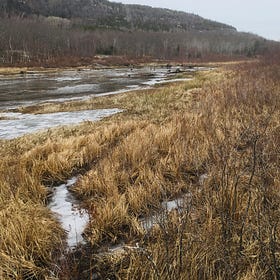 The Schooner Head Trail