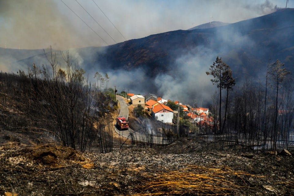 Incêndios: área ardida em Chaves poderá atingir quatro mil hectares | Incêndios  florestais | PÚBLICO