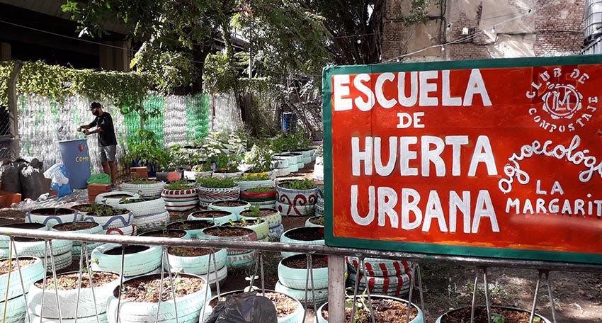 Escuela de Huerta Urbana Agroecológica, la primera en Latinoamérica