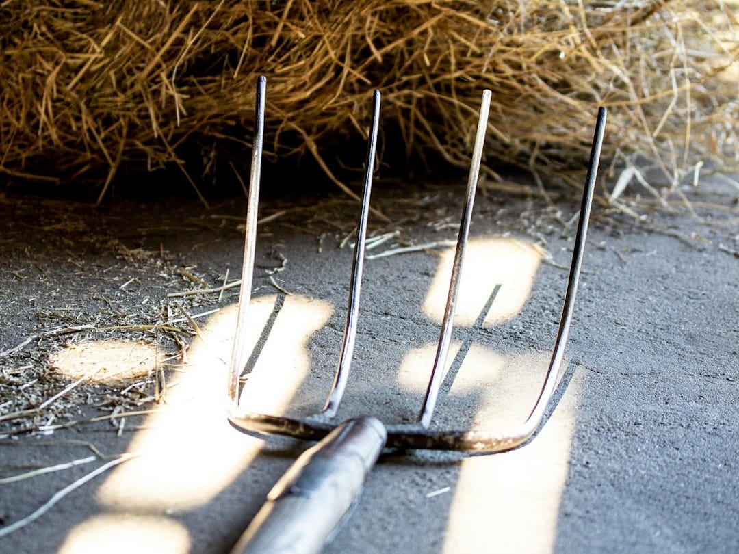 pitchfork on brown dried grass