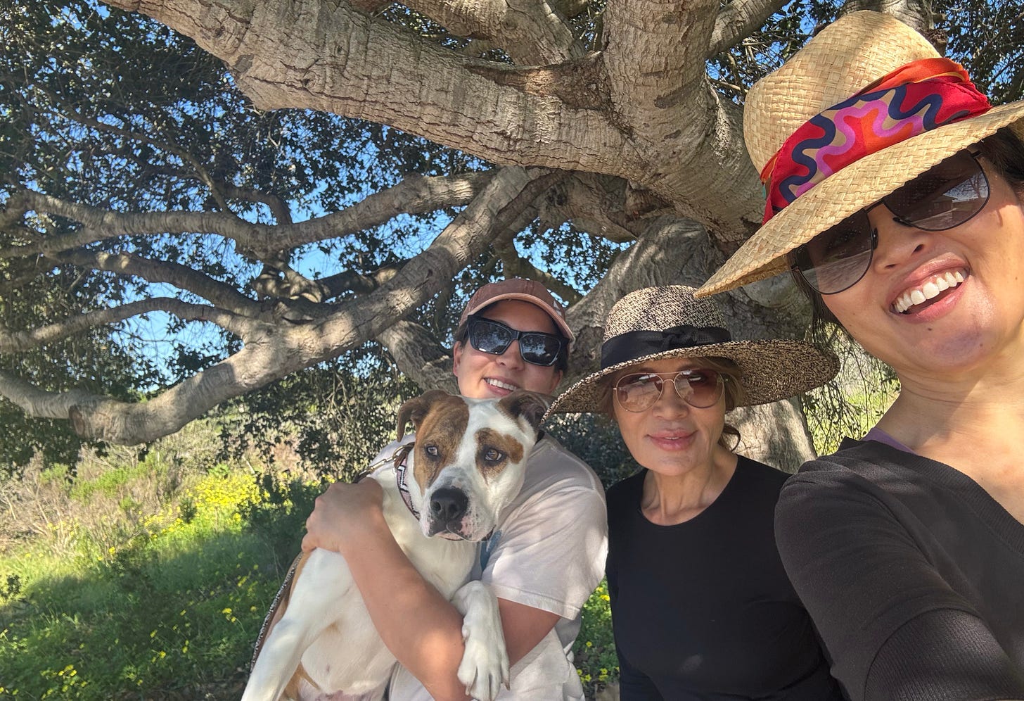 qotd, rumi, sahil bloom, jay shetty, on purpose, feel better, inspirational quotes, book recs, best books, goodreads, humor, iamthirtyaf, illustrations, mental wellness, friends, positivity, confidence, nice news, art, line drawings, linear theory, inspirational quotes, new yorker, poetry, universe, life advice, career, success, positive news, c magazine, ad magazine