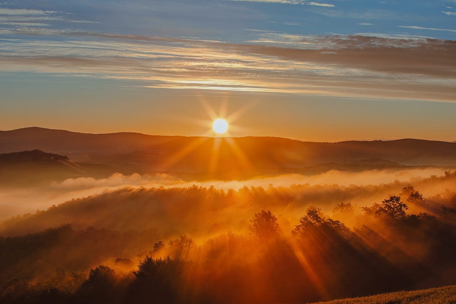 Sunset over Tuscan forest