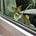 Travels with Slimmy's avatar