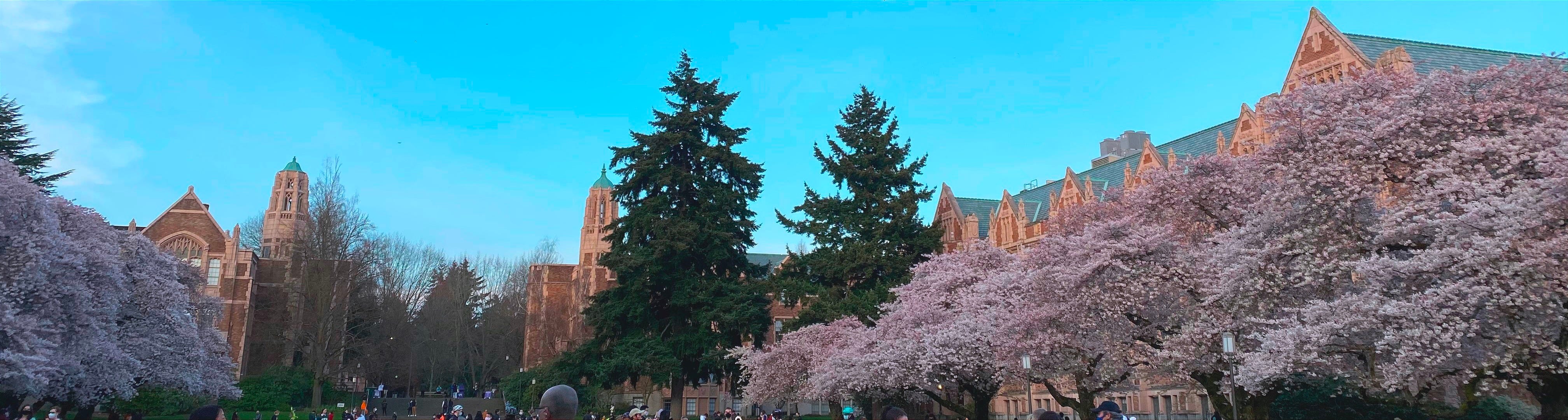 Reflections: 50 Cents in Conversations