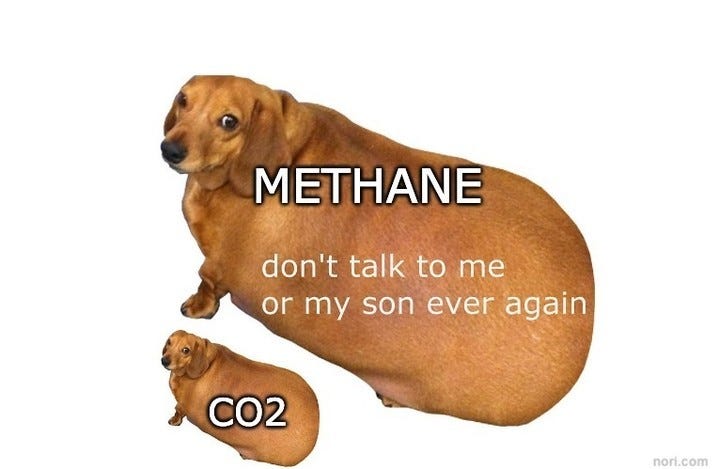 A large round dachshund labelled "METHANE: don't talk to me or my son ever again" beside a small dachshund labelled "CO2".