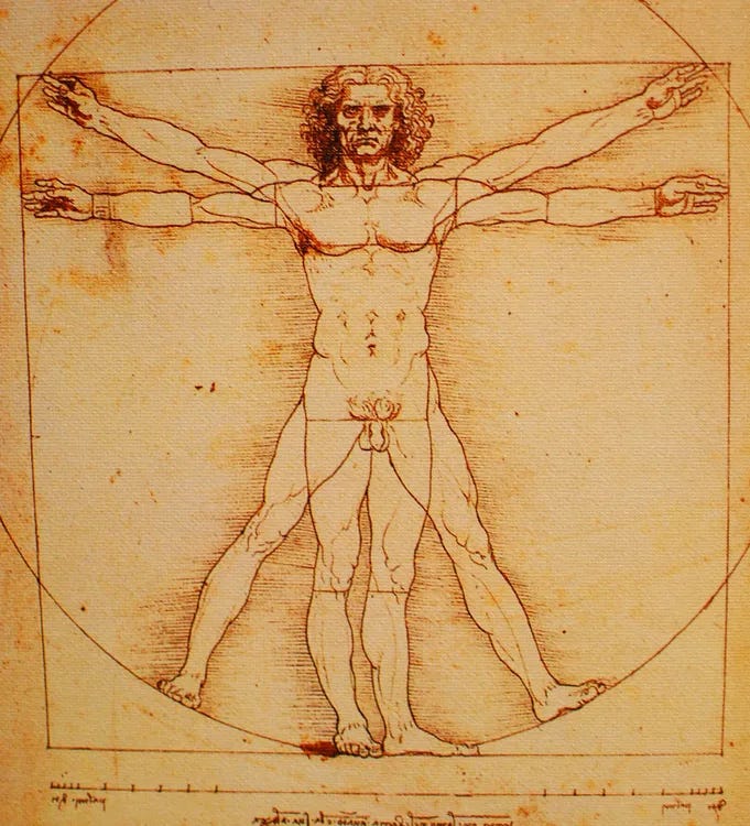 Vitruvian Man by Leonardo da Vinci