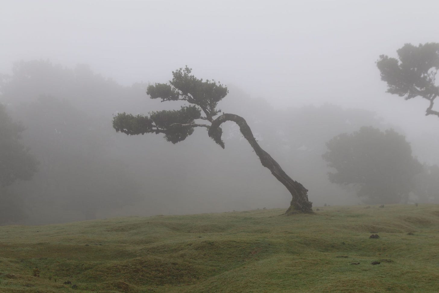 Madeira 2022: Travel Summary