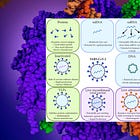 Biotech Company Developing Next-Generation Self-Copying 'sa-mRNA' COVID-19 Vaccine Funded by Biden Admin, Bill Gates