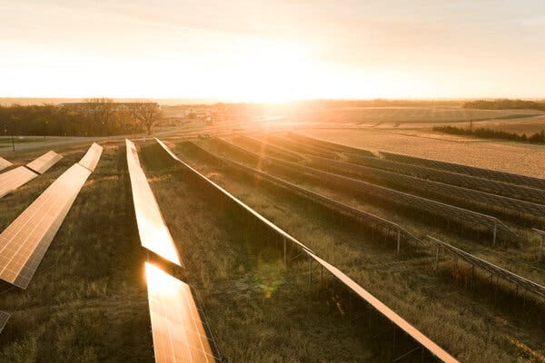 Rows of solar panels on a farm reflect the setting sun on the horizon.