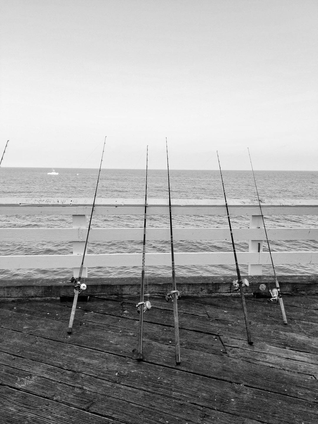 five fishing rods five fishing rods