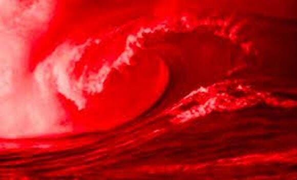 Hope-Casting Media Outlets are Working Hard to Convince Voters the GOP is  Losing Ground in Mid-Terms - Opinion | The Veracity Report | NewsBreak  Original