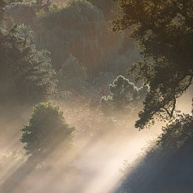 Walk on the Wild Side: Through the Heart of LettsSafari's Dawlish Park