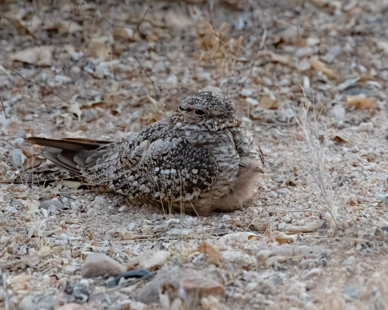 20200621_LN-94-Edit.jpg 20200621_LN-94-Edit.jpg