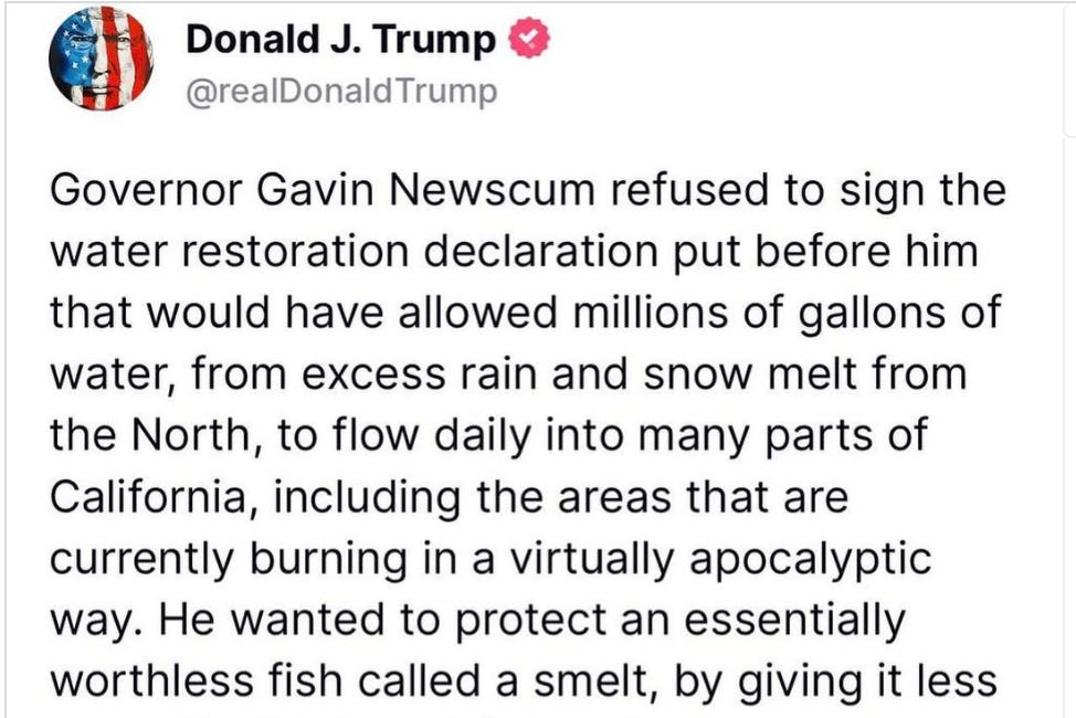 F**king Mondays: Wild(fire) Conspiracies, Overton Windows, and Zuck the MAGA Bro