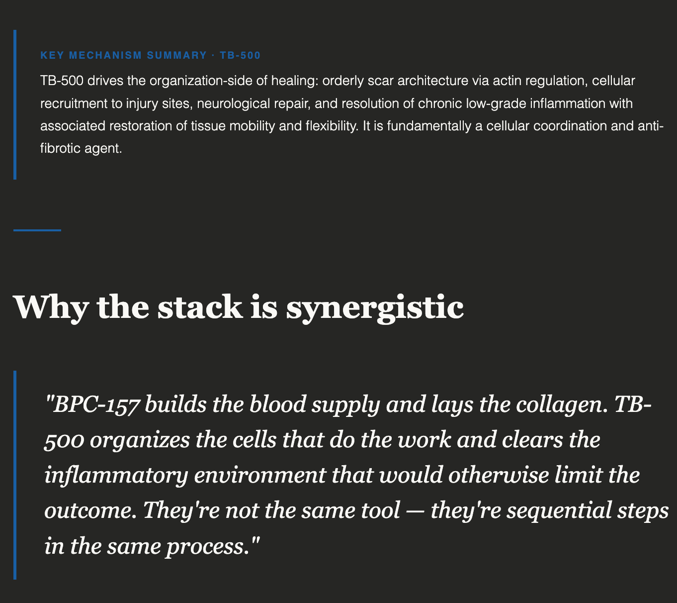 The Ultimate BPC-157 & TB-500 Healing Stack: Mechanism, Protocol ...