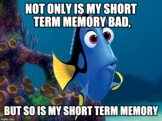 8 Dory ideas | dory, funny memes, funny pictures