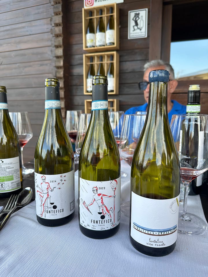 Cerasuolo d'Abruzzo wines