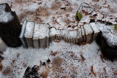 composting books, abstractions, photo essay, decomposing paper
