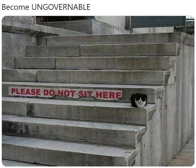 Become UNGOVERNABLE PLEASE DO NOT SIT HERE