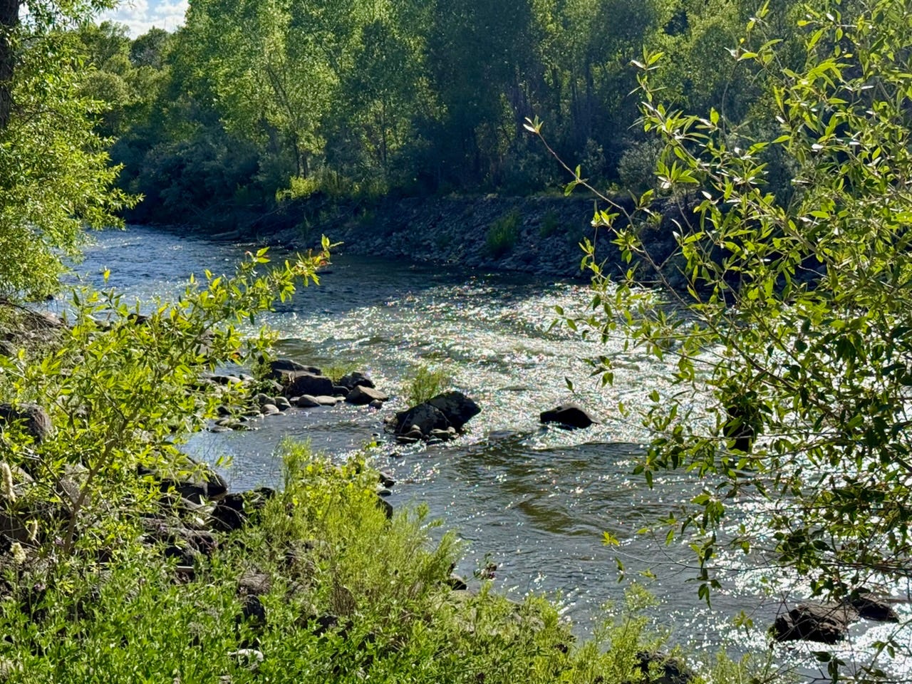 photo of the North Fork River lined by lush green cottonwood trees, with clear water splashing over dark volcanic rocks. photo credit: Susan J Tweit photo of the North Fork River lined by lush green cottonwood trees, with clear water splashing over dark volcanic rocks. photo credit: Susan J Tweit